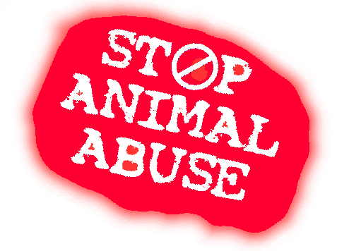 animal abuse 